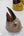 Masque mural aigle Jatayu blanc, gros plan artisanal