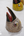 Masque mural aigle Jatayu blanc artisanal en papier mâché Inde