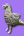 Statuette perroquet en laton