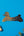 Peigne Caniche en Corne de Buffle
