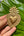 Ex-voto doré Alfred, angle différent