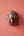 Masque indien Perroquet gris – Masque mural artisanal Inde