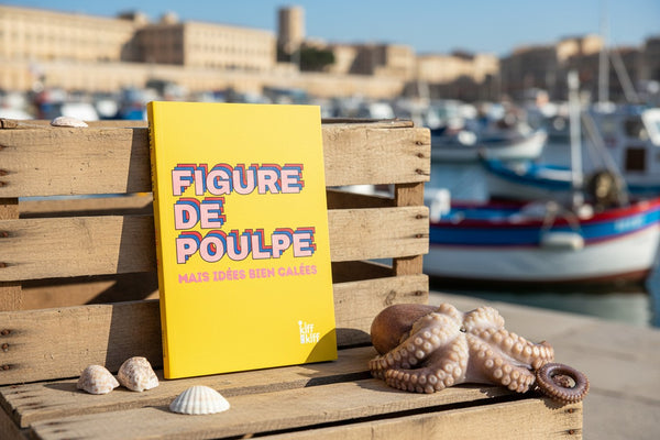 Cahier FIGURE DE POULPE, présentation complète