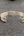 Bracelet noir Nuristan Afghanistan, vue de face du sertissage