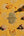 KIFF KIFF Amal hammered gold metal dove ex-voto ornament on a yellow floral fabric background with dried flowers