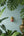 Masque mural Garuda KIFF KIFF en papier mâché peint à la main, 10 cm, entouré de plantes tropicales et d'un vase.