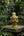 Statuette Garuda verte KIFF KIFF en papier mâché artisanal d'Inde posée sur une pierre dans un jardin tropical