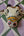 Mini masque de la vache sacrée blanche – 10 cm