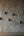 Masque indien Léopard vert – Décoration murale artisanale – Papier mâché Odisha