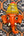 Masque mural Ganesh Vinayaka rouge en papier mâché artisanal KIFF KIFF, vue de face, artisanat indien