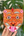 Masque mural tigre artisanal en papier mâché Inde